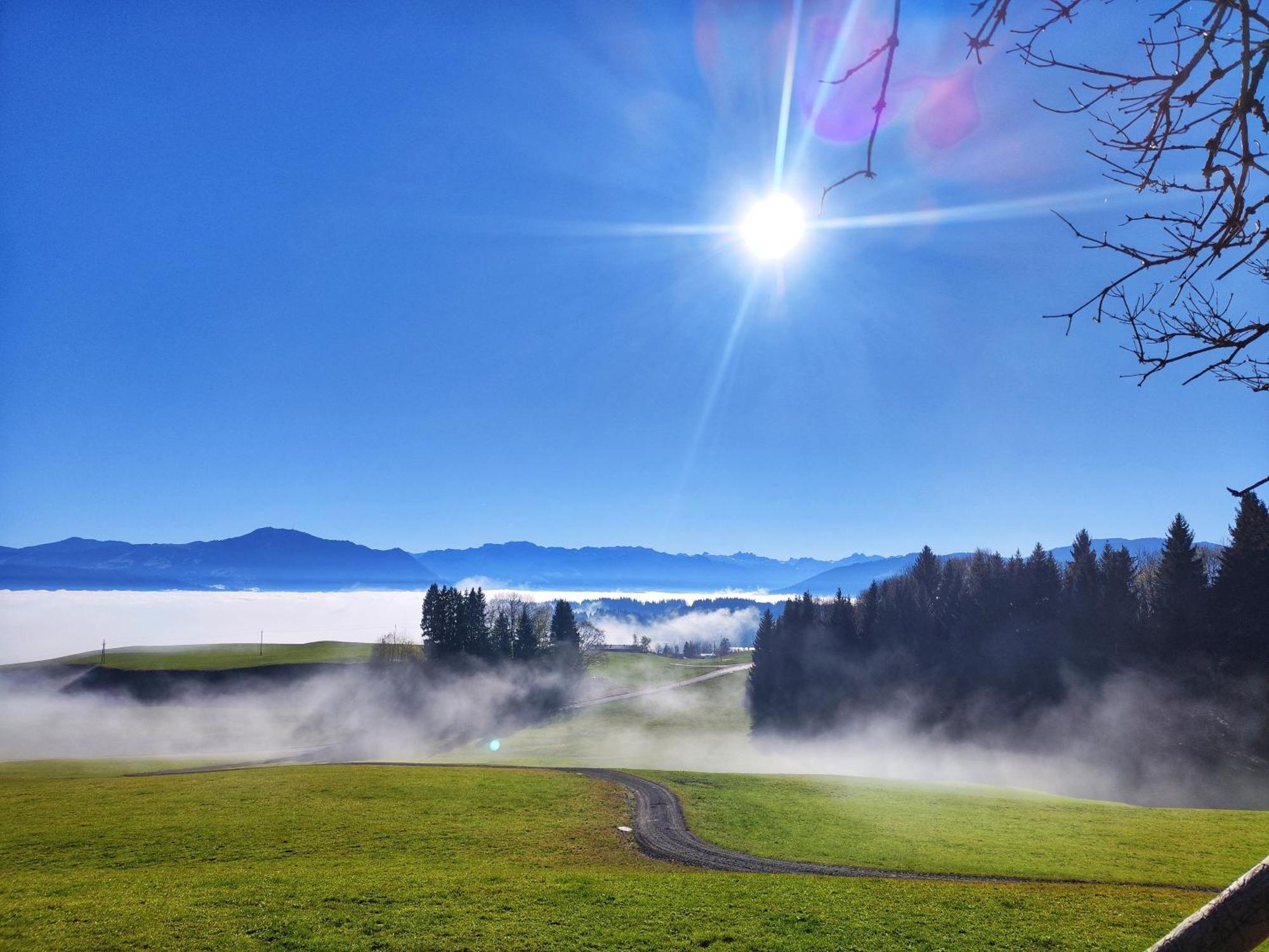 Alpseegruenten - Die Ferienwohnung Immenstadt im Allgäu Dış mekan fotoğraf